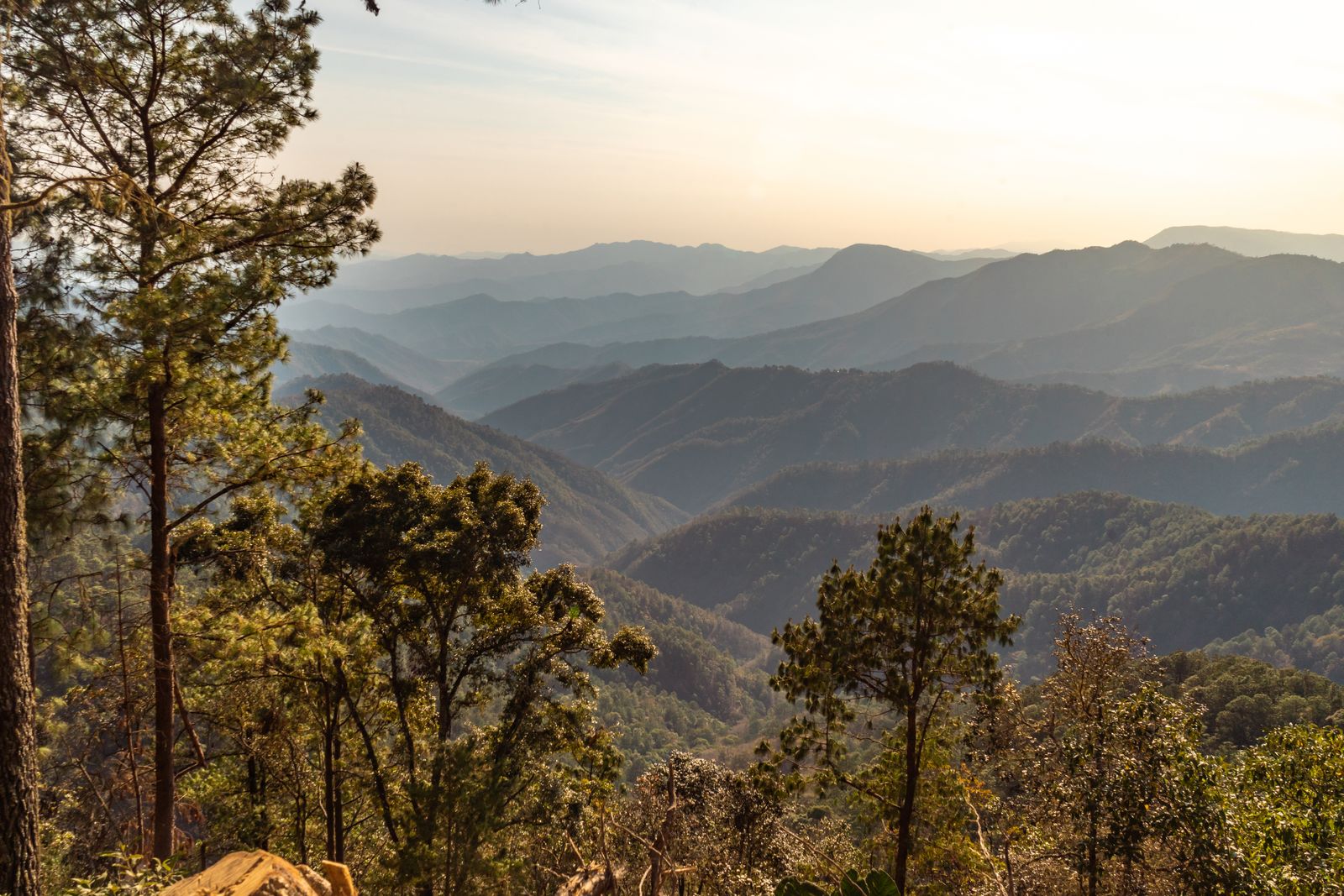 Layers of forested Sierra Sur mountains near San Jos&eacute; del Pac&iacute;fico, Oaxaca, at sunset