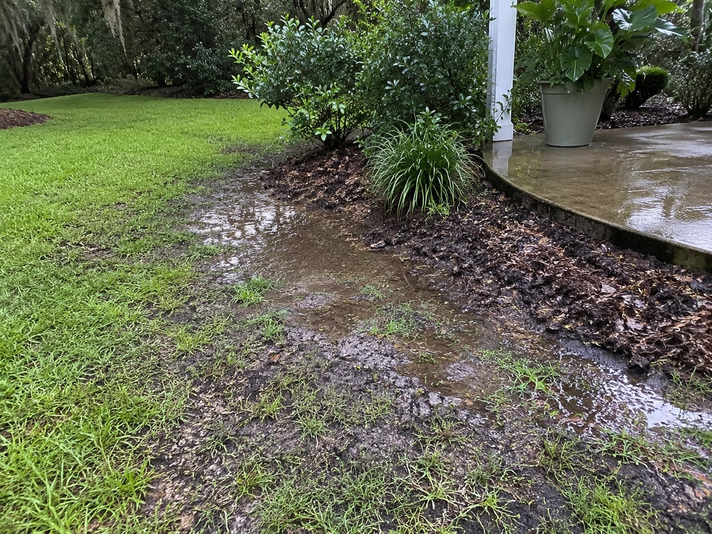 Soggy yard and washed out mulch after rain in Summerville SC