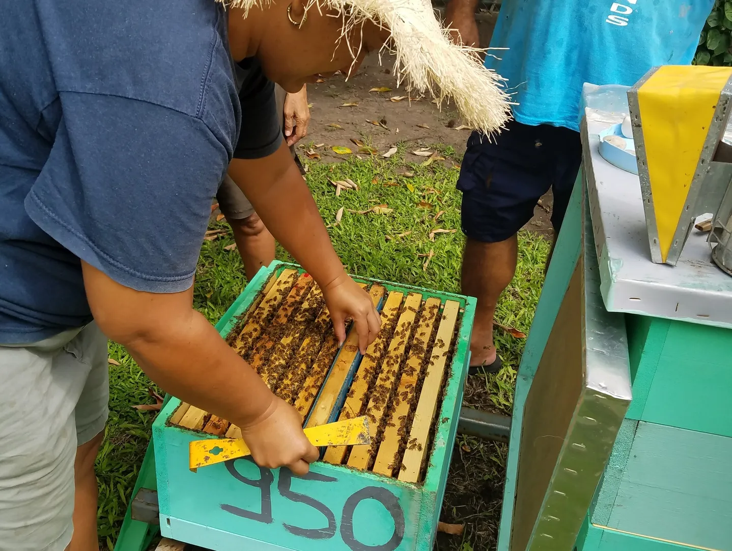 IslaGold Raw Nectar isolated product jar on transparent background