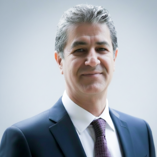 Hamidreza Shafiei – Licensed Home Inspector and Civil Engineer, Toronto GTA