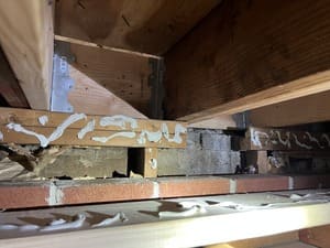 {{ custom_values.service_1 }} in {{custom_values.area_1})