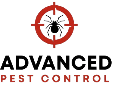 Pest Control Services in Wichita, KS
