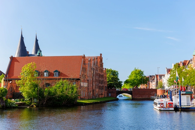 Torsten Wegemann führt professionelle Schädlingsbekämpfung in Lübeck durch