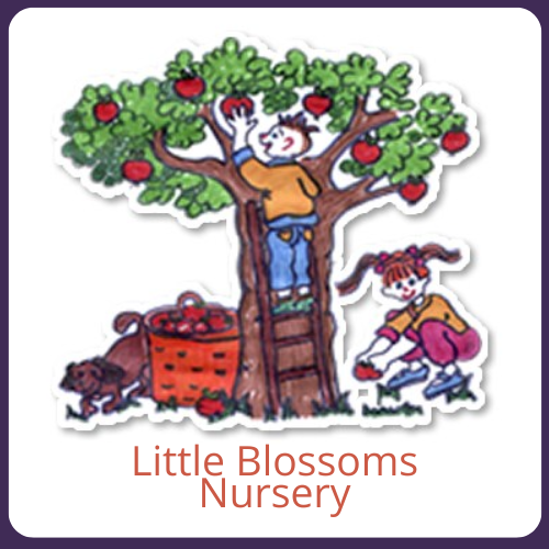 The logo of Little Blossoms Day Nursery who uses On the Button, Well-being and Safeguarding EYFS Software