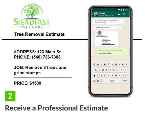 Tree Removal Quote