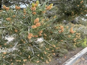 {{ custom_values.service_2 }} in {{custom_values.area_4})