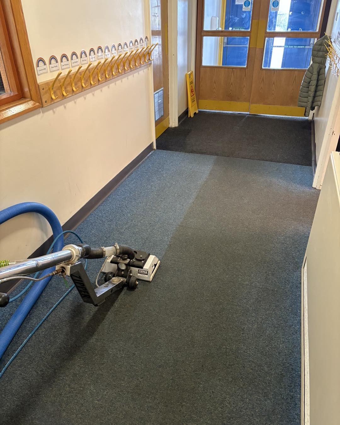 Professional carpet cleaning by Alliance Carpet & Upholstery Cleaning
