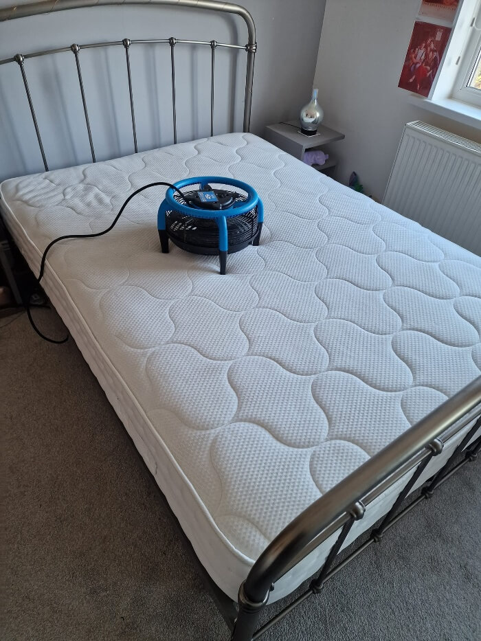 Mattress cleaning by Alliance Carpet & Upholstery Cleaning