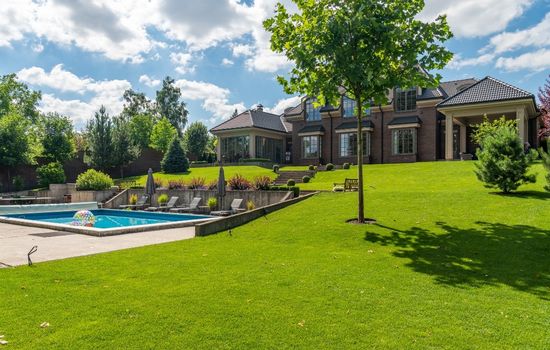  Lawn Care & Maintenance