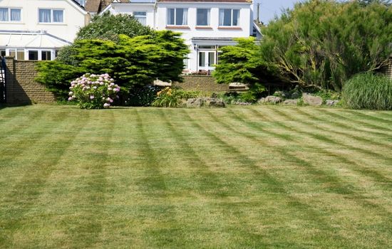  Lawn Care & Maintenance