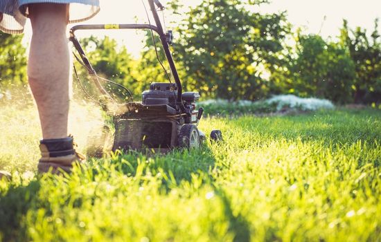 Santa Monica Lawn Care & Maintenance