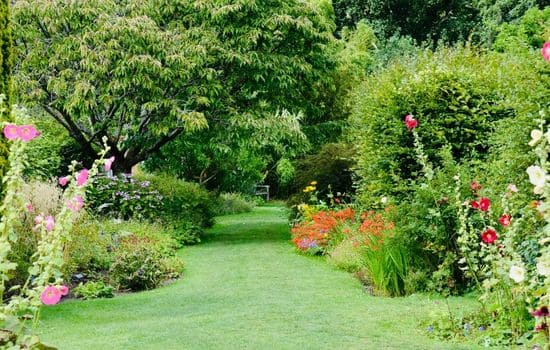 Santa Monica Landscape Design