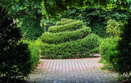  Lawn Care & Maintenance