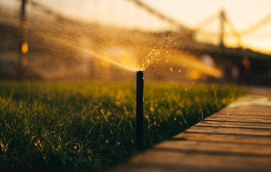  Lawn Care & Maintenance