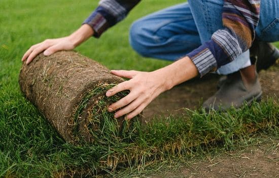 Santa Monica Sod & Artificial Turf