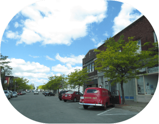 about fort erie
