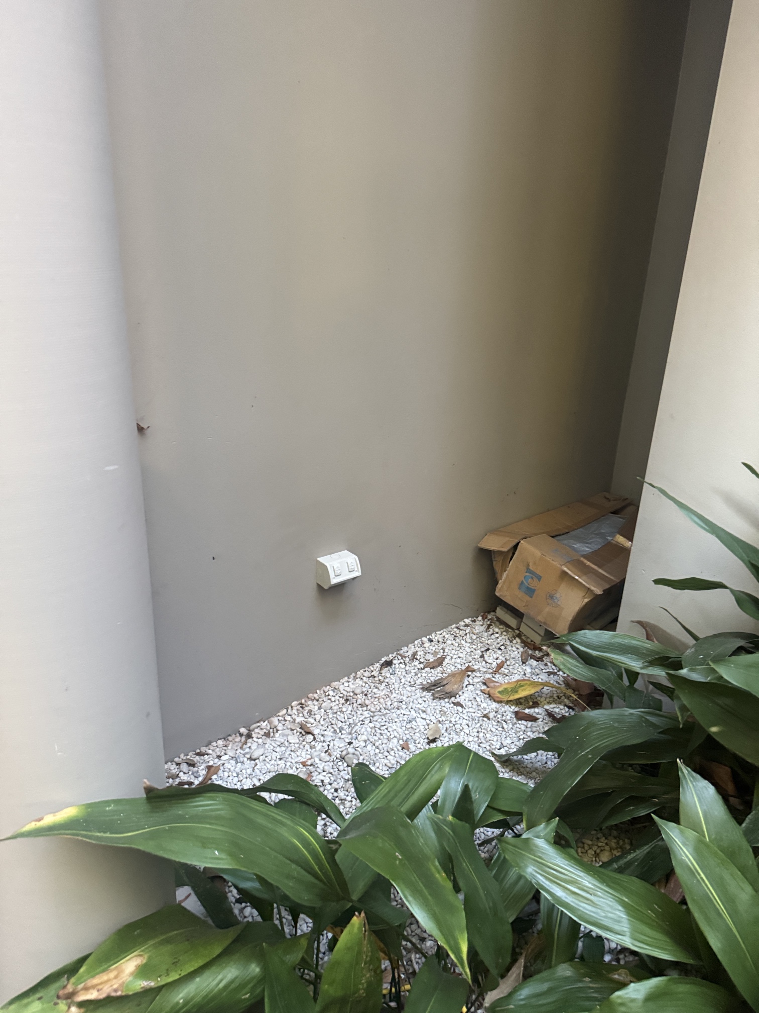 Residential Electrical