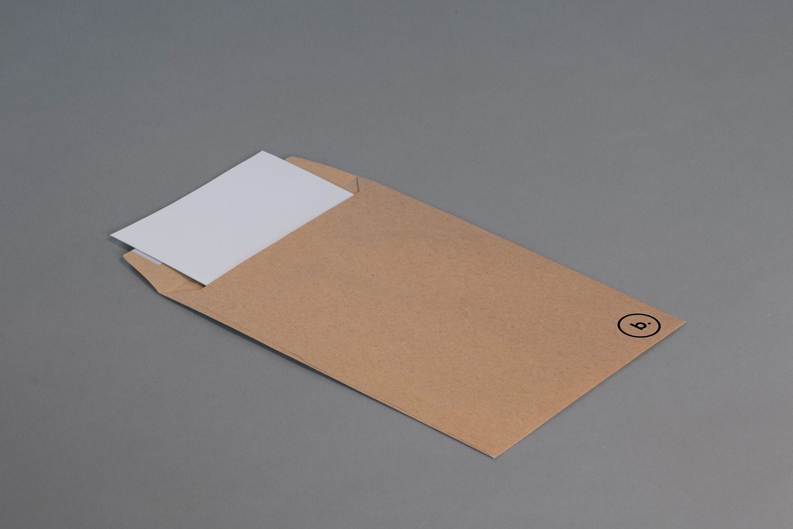 A sheet of paper inside a brown envelope, ready to submit