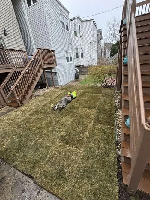 Rogers Park Lawn Maintenance