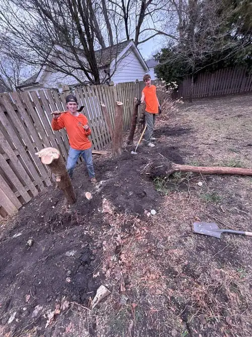Lincoln Park Tree Removal
