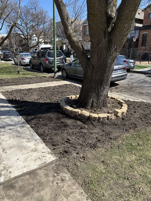 Mulching Andersonville