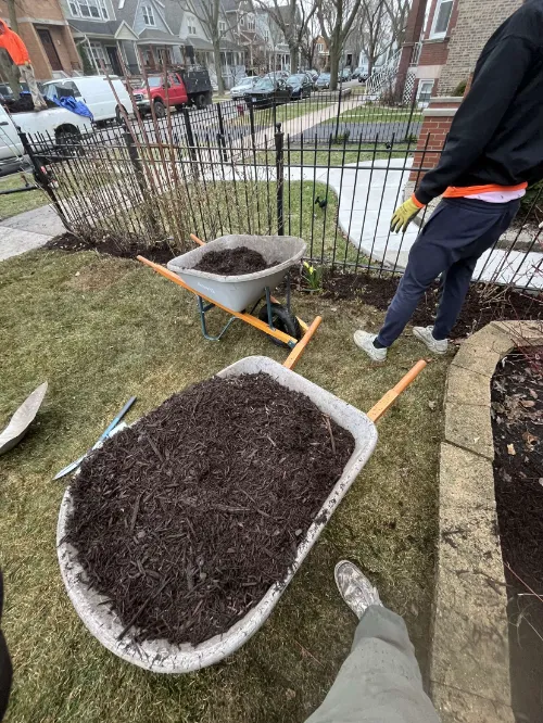 Lincoln Park Mulching
