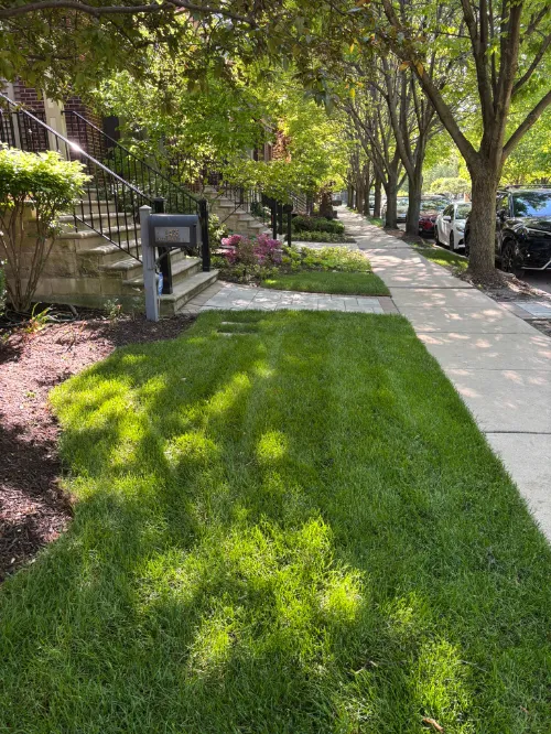 Lawn Maintenance Andersonville