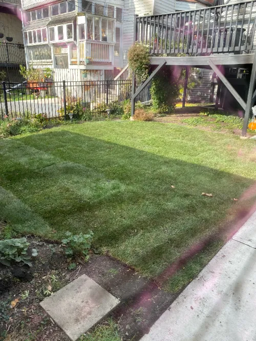 Irving Park Lawn Maintenance