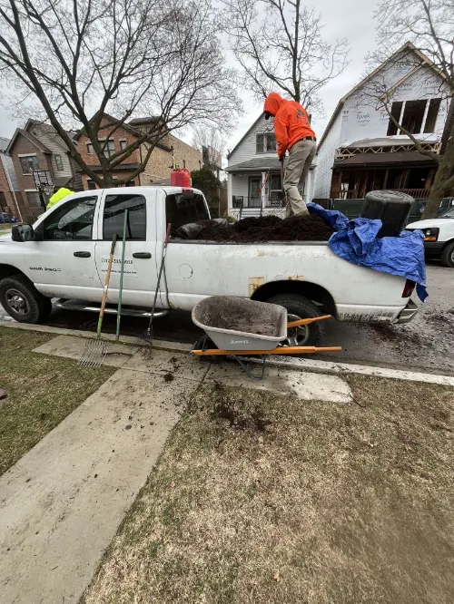 Lawn Maintenance Andersonville