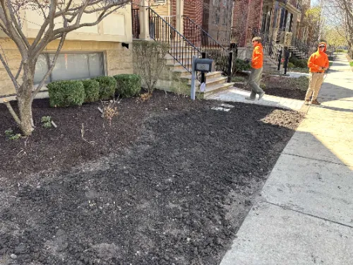 Ravenswood Tree Removal