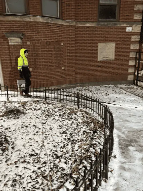 Tree Removal Andersonville