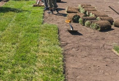 Sod in Andersonville