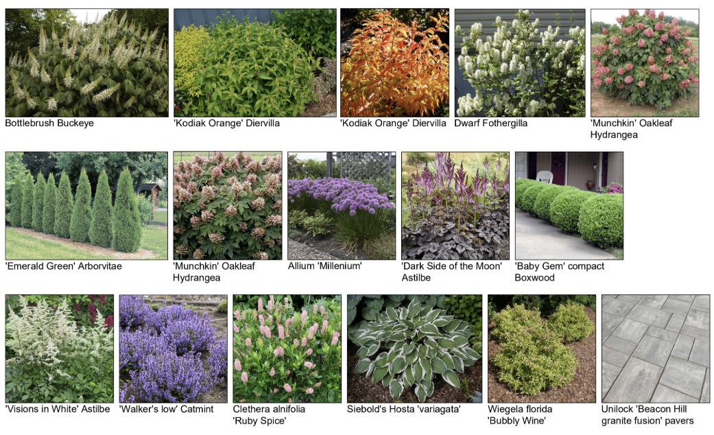 Chicago Landscape Design