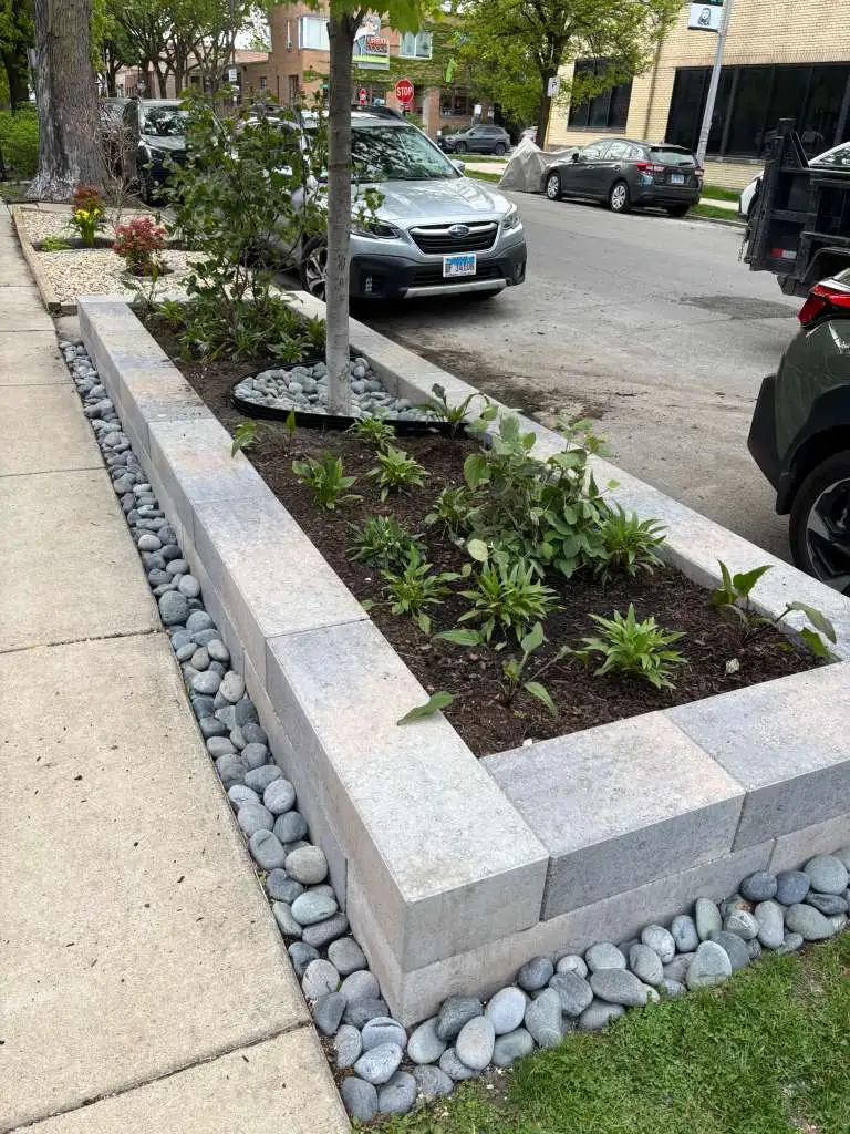 Lawn Maintenance Andersonville