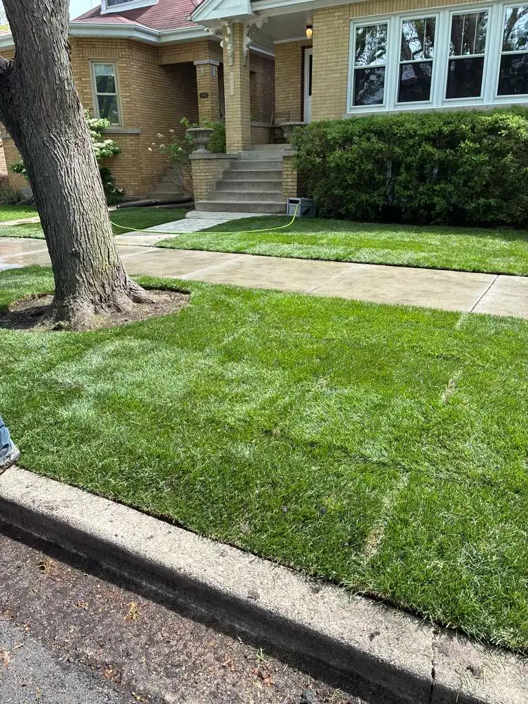 Hardscaping Andersonville