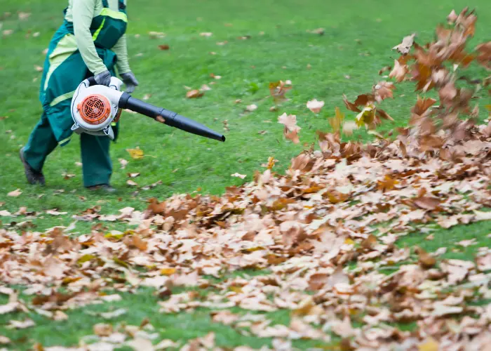 Seasonal cleanup service