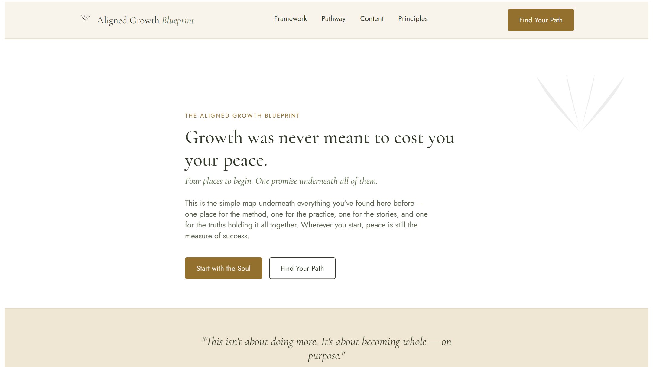 Aligned Growth Blueprint website