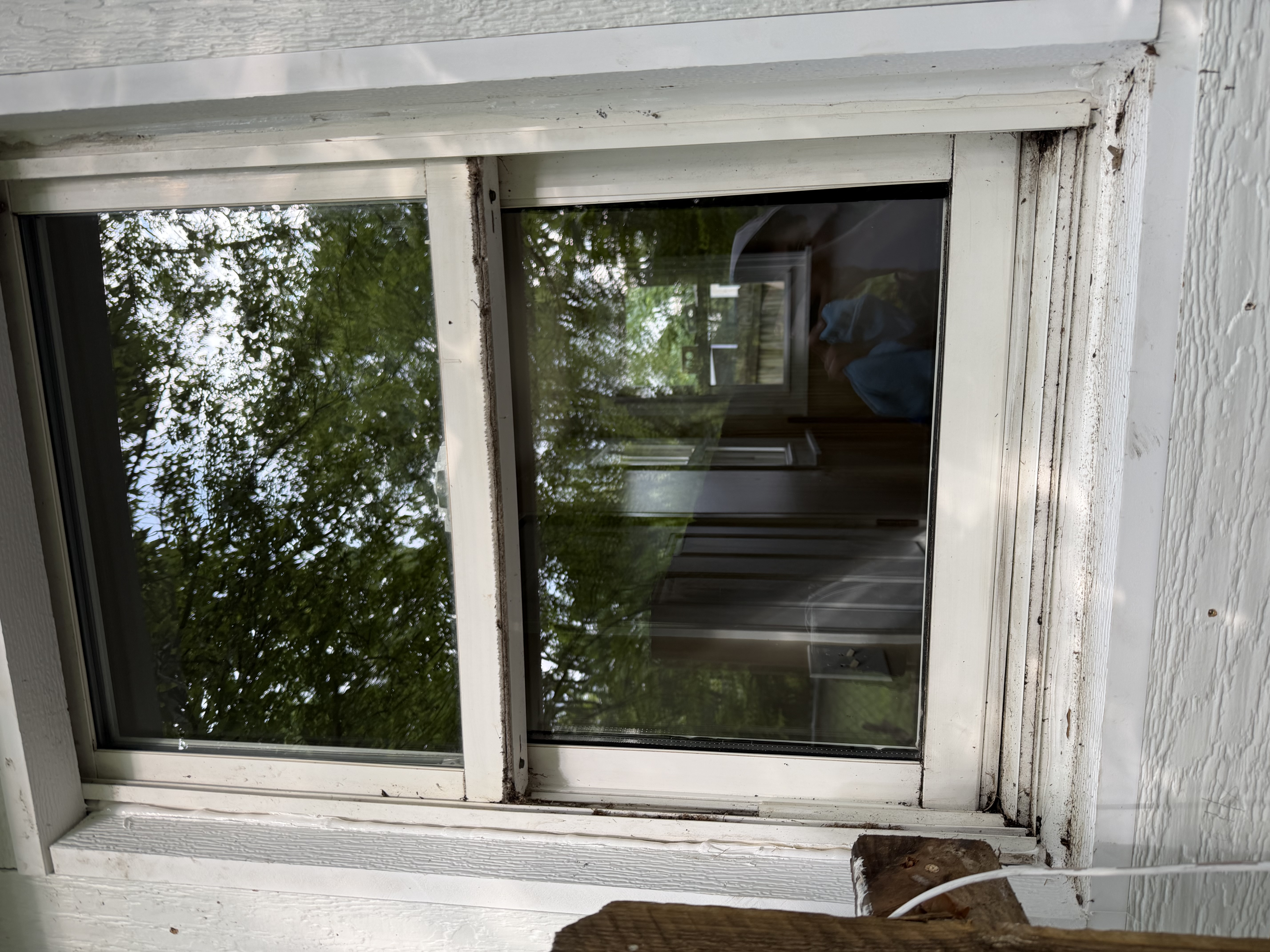 A clean white double-hung window on a white exterior wall, reflecting trees.