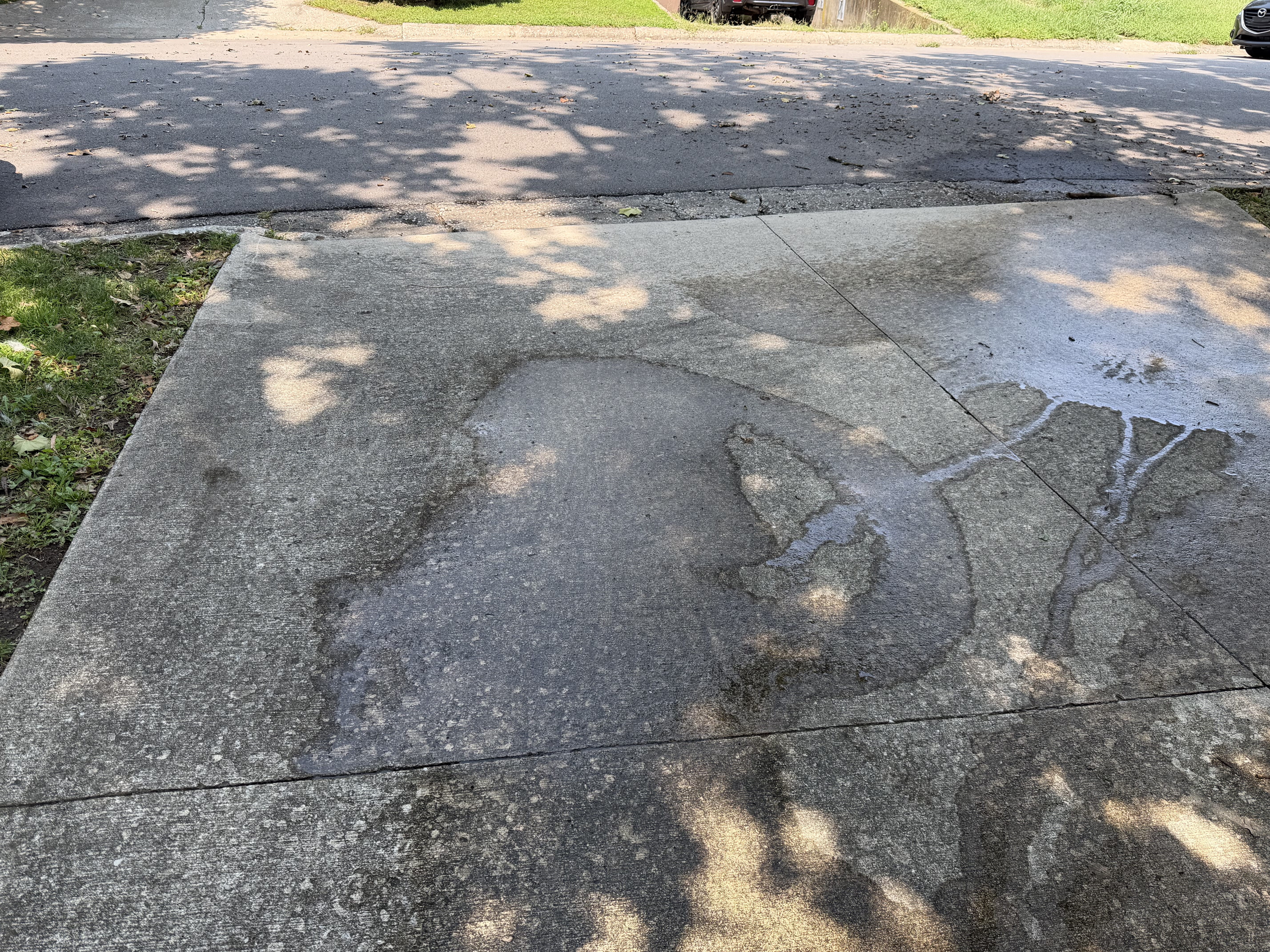 A weathered concrete driveway with a wet patch and dappled tree shadows.
