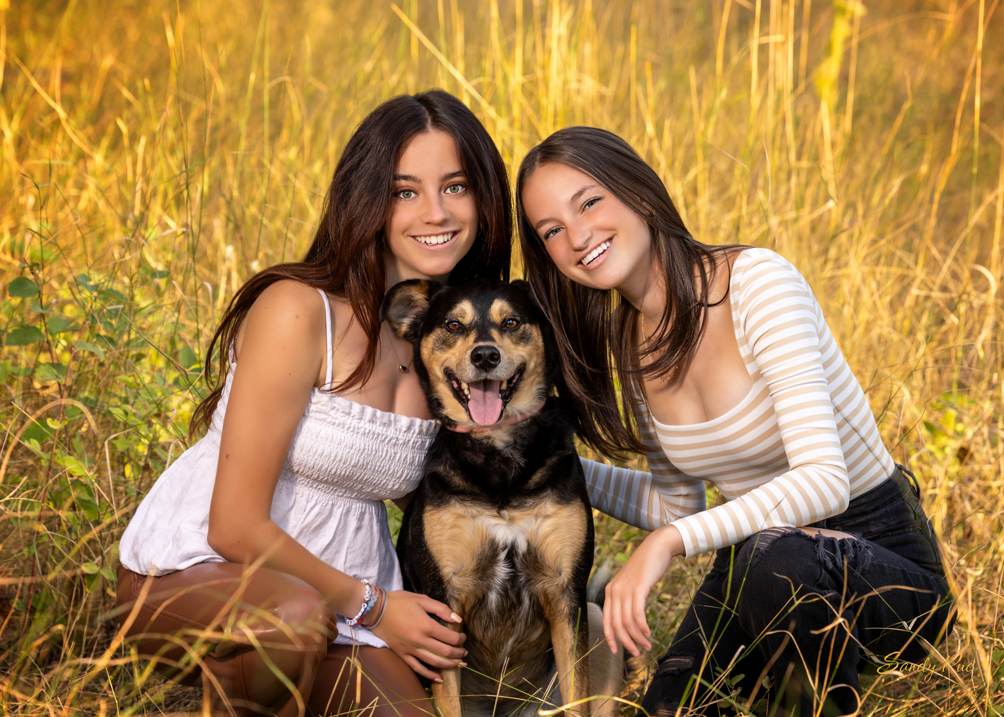 Hero photography placeholder (replace with your pet photography)