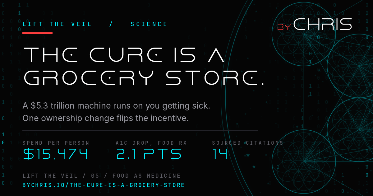 The Cure to Healthcare Is a Grocery Store share card, Lift the Veil by Chris Douglas (byCHRIS)
