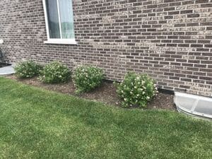 {{ custom_values.service_2 }} in {{custom_values.area_3})