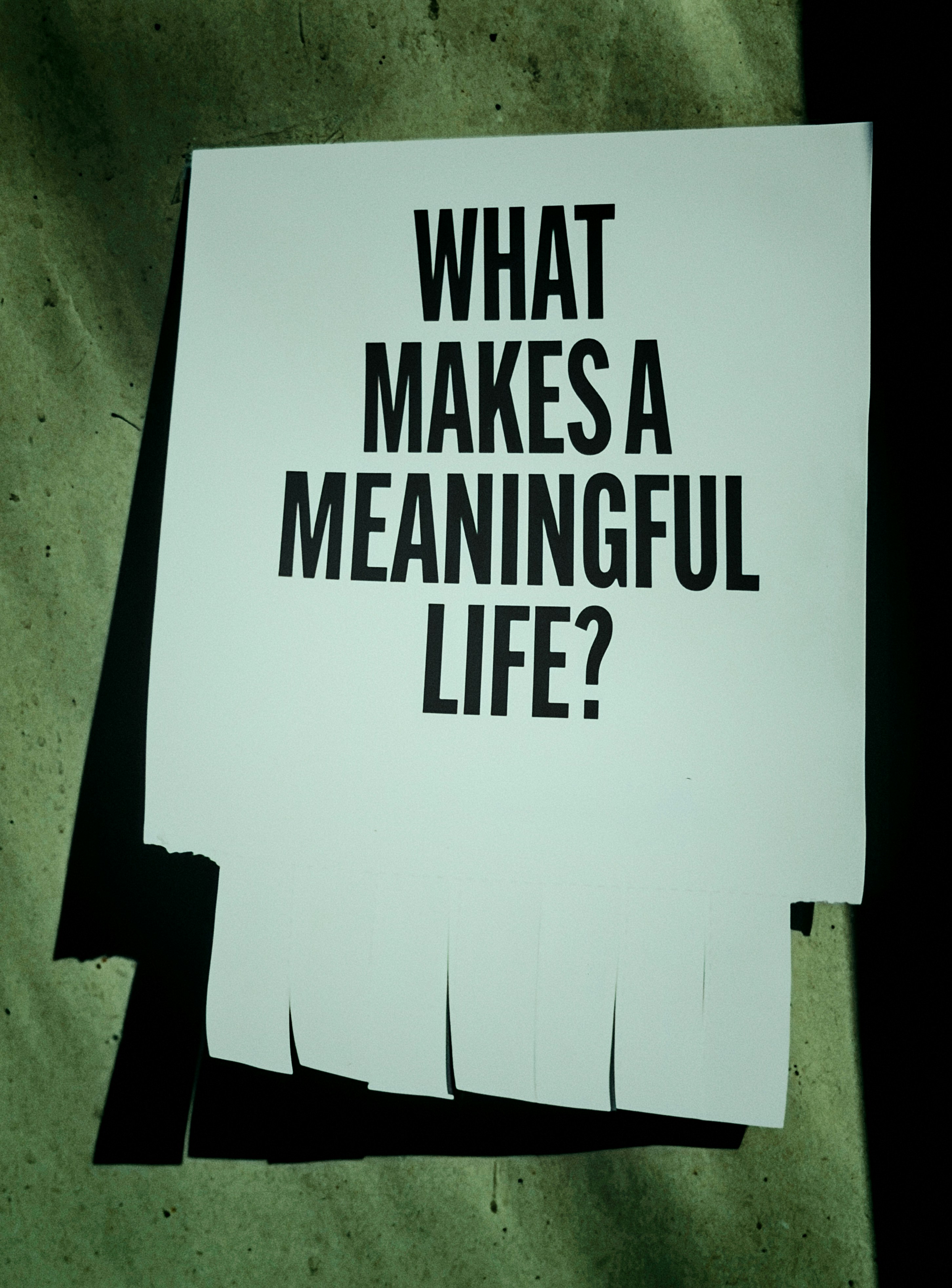 text:what makes a meaningful life text:what makes a meaningful life