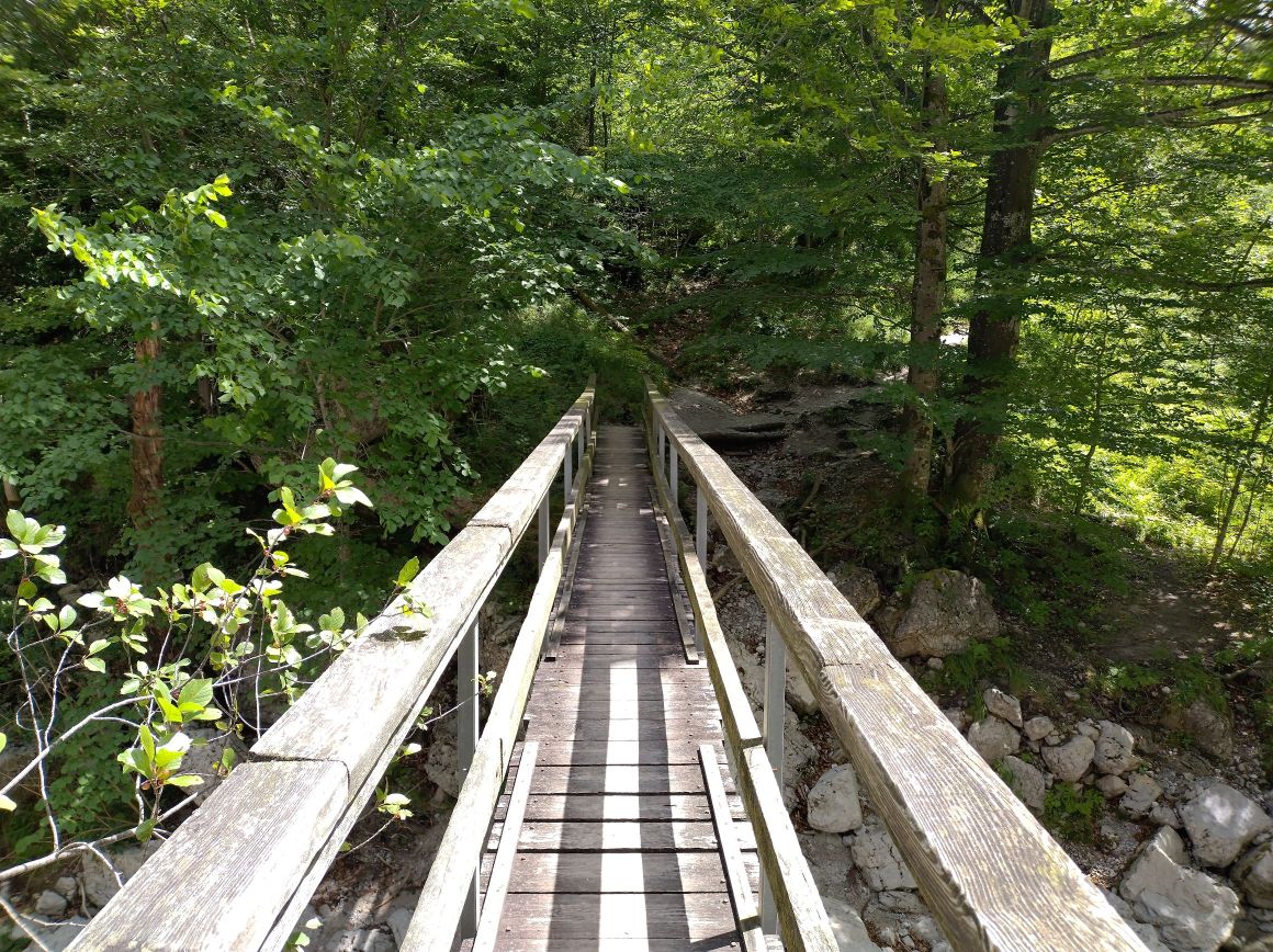 wooden bridge wooden bridge