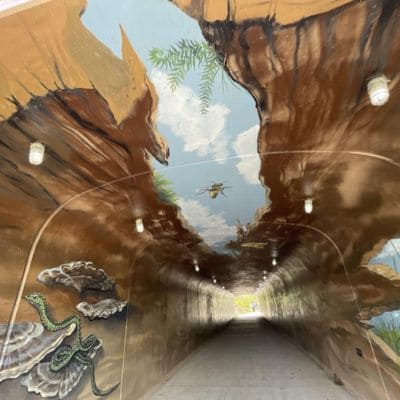 Vinyl Siding Replacement Lebanon