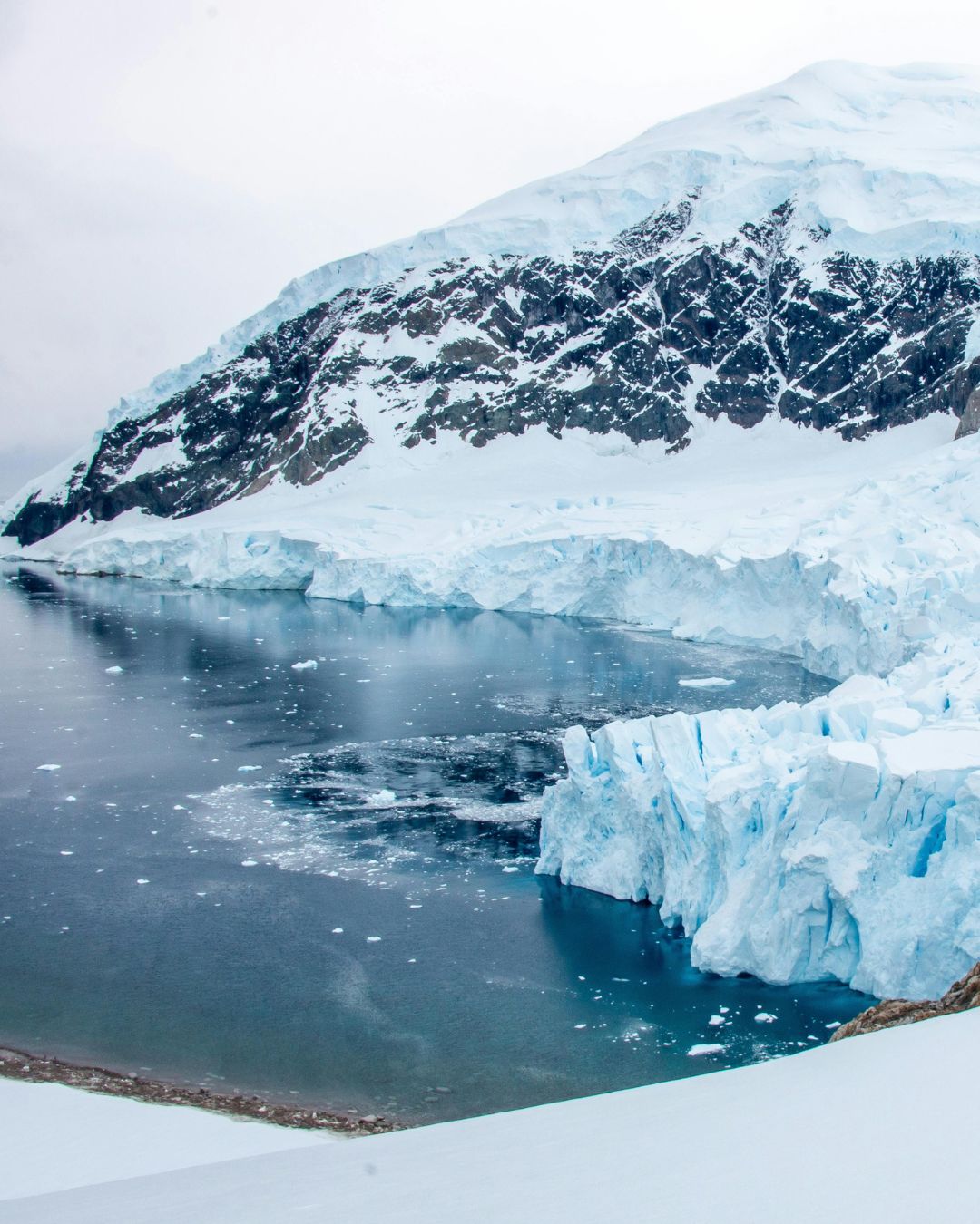Q15 Antarctic Experience
