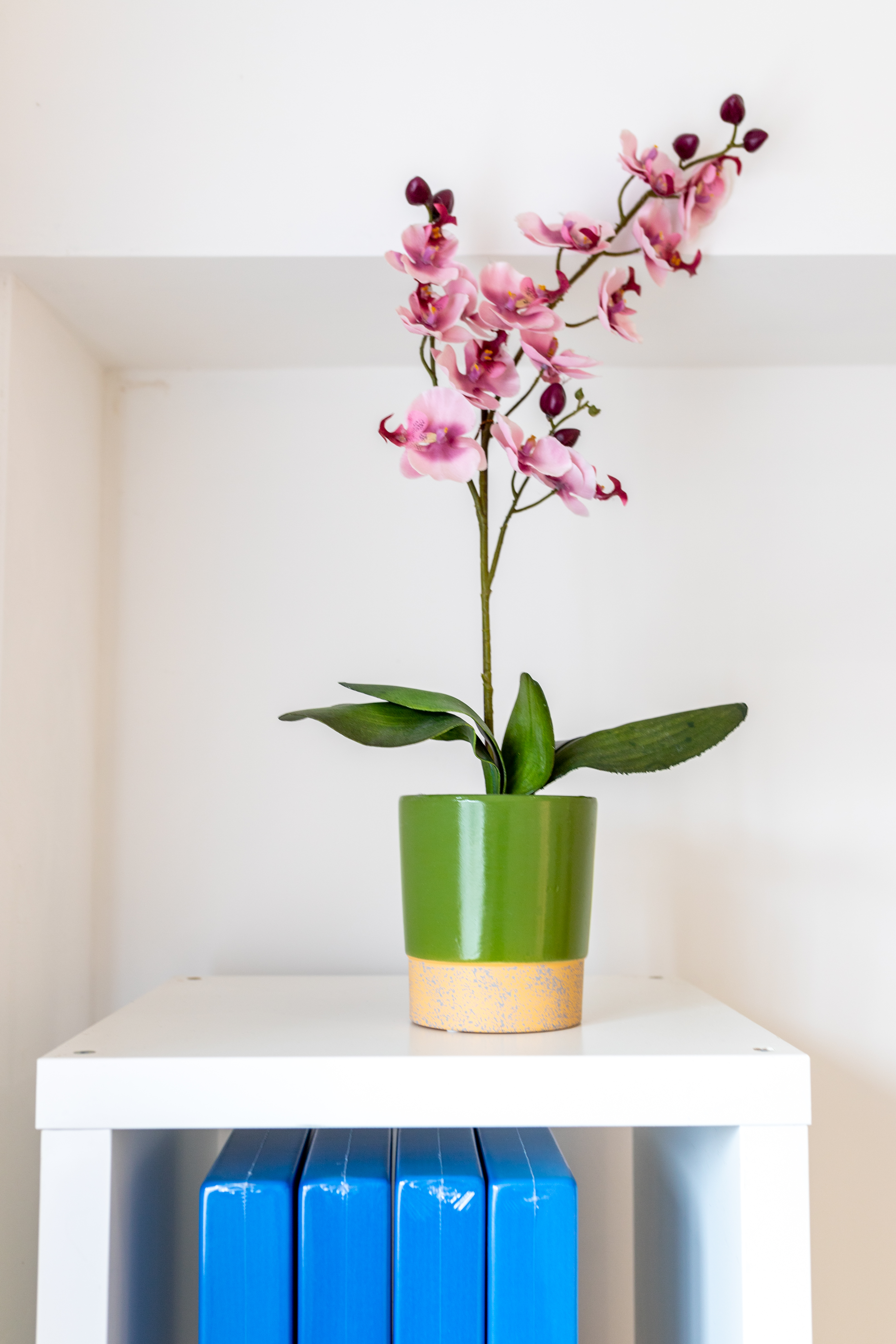 The Pilates Corner studio detail