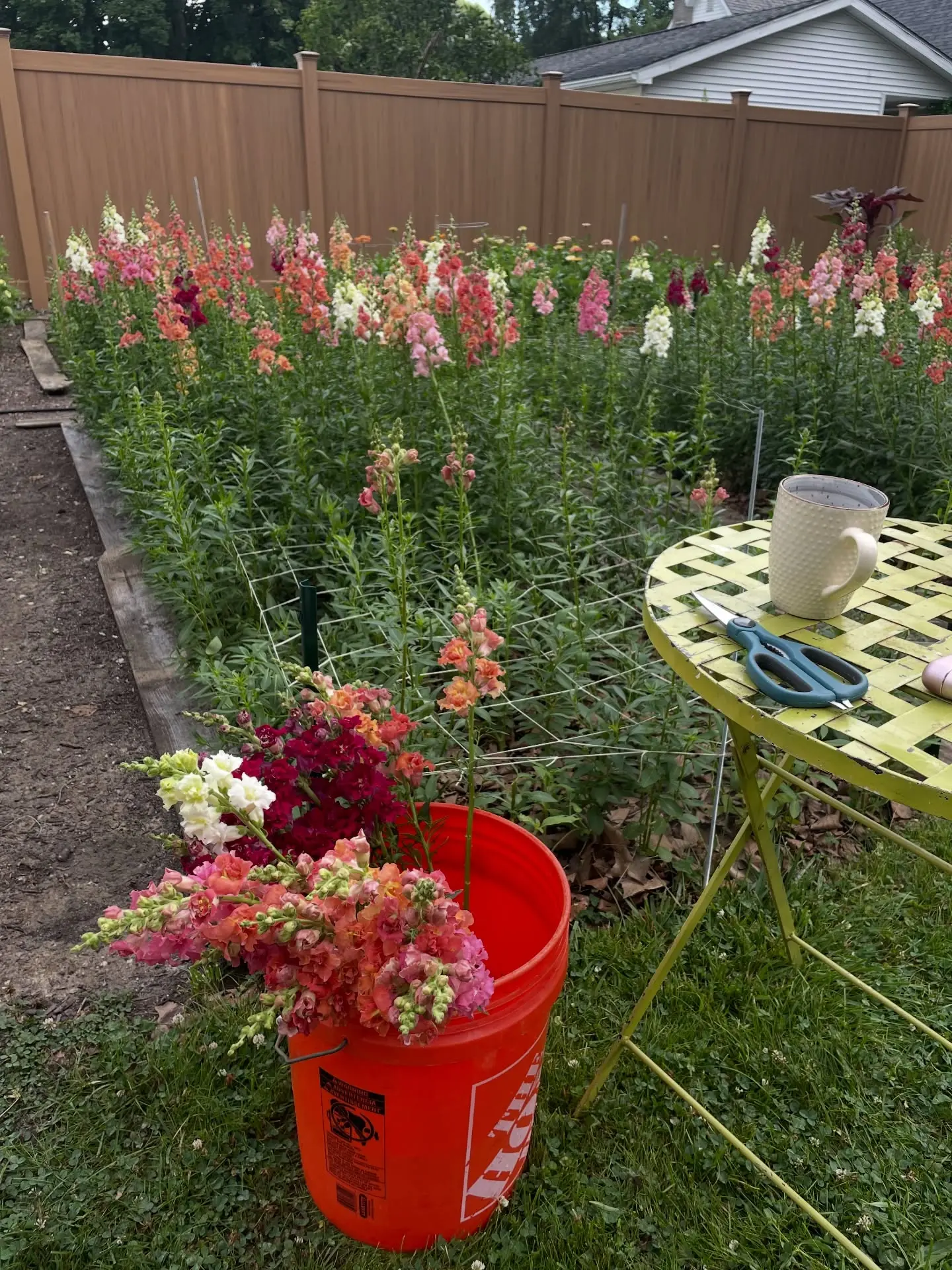 Fresh cut flowers in a bucket