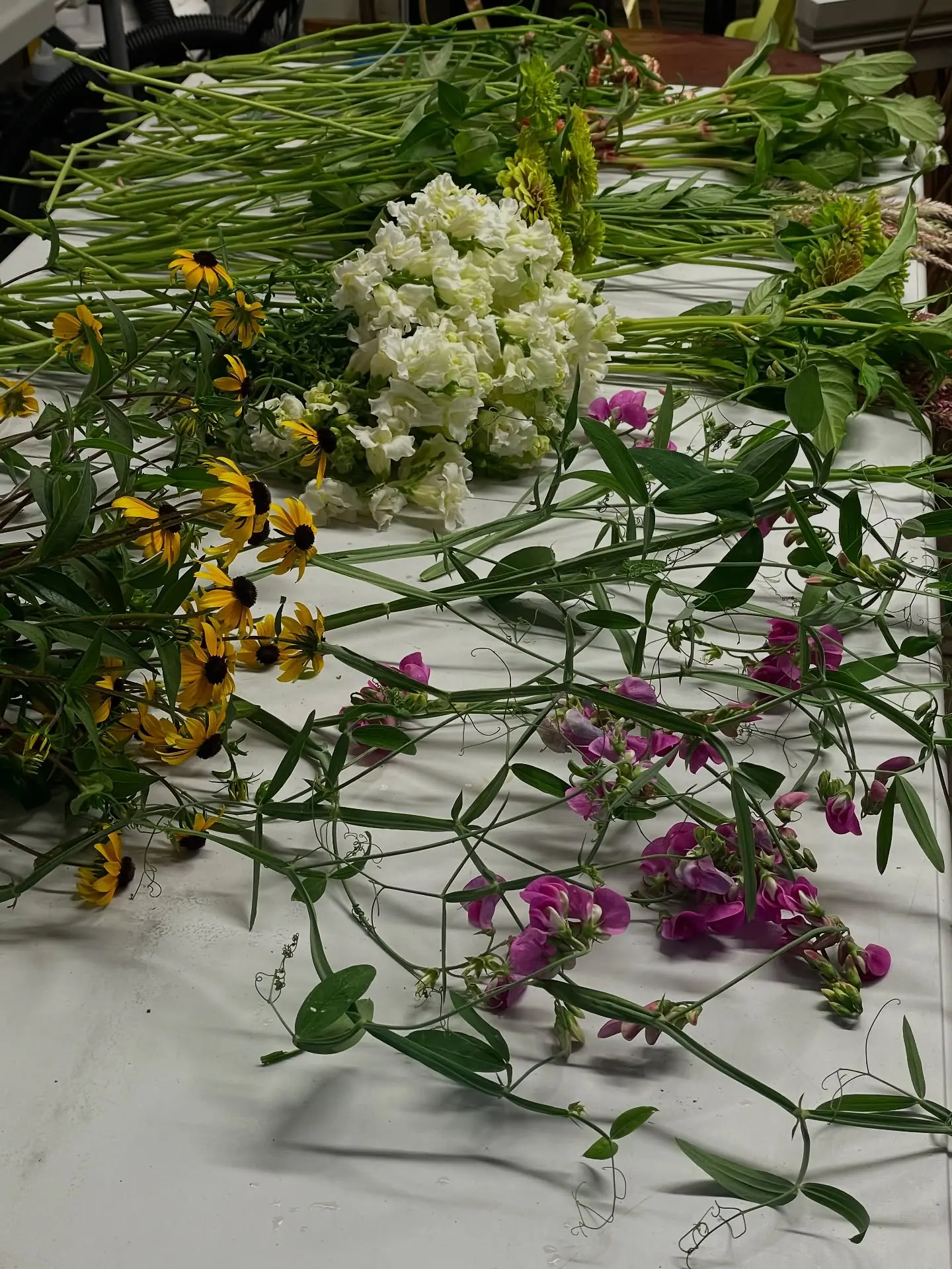 Fresh snapdragons