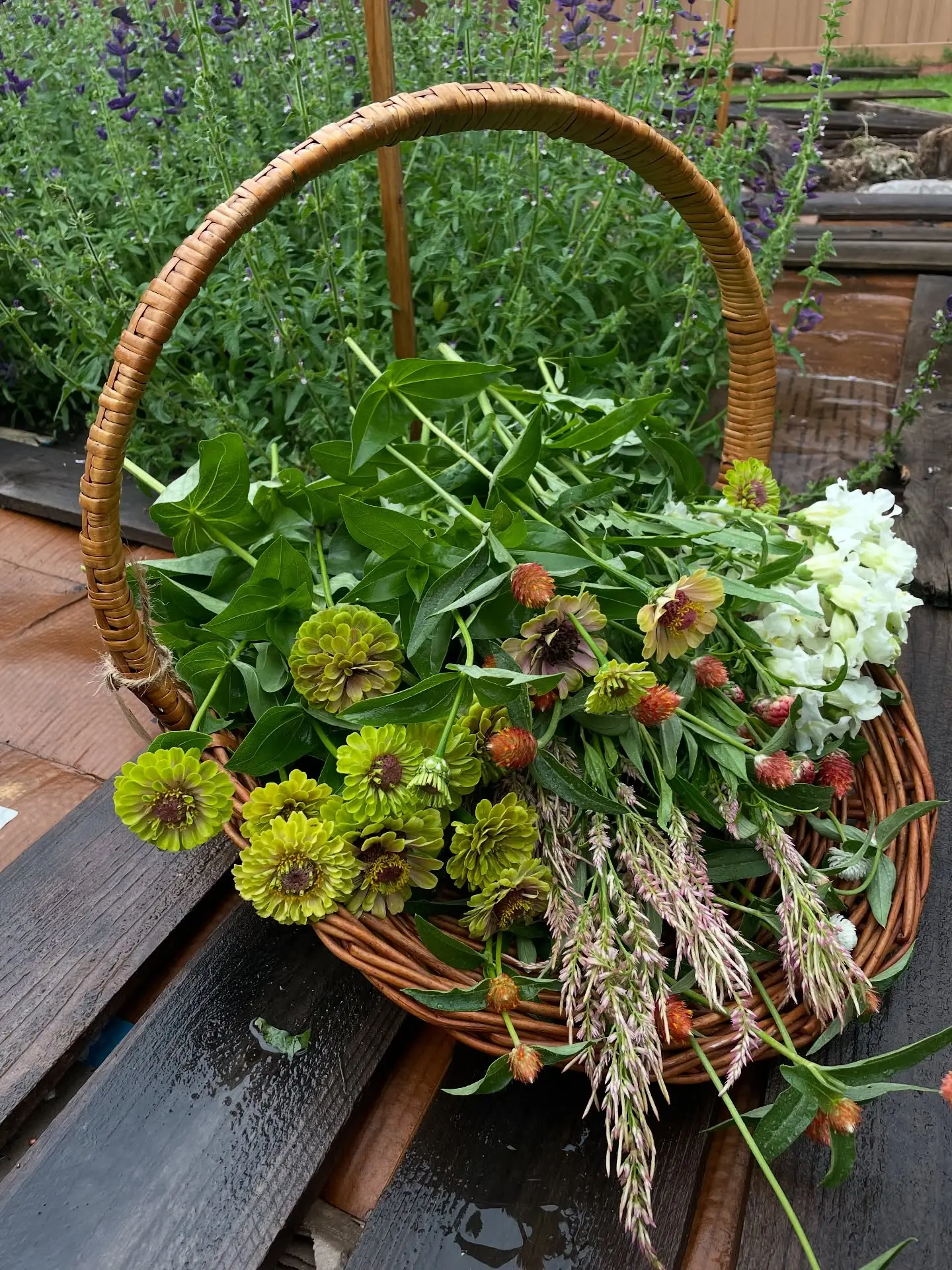 Flower arrangement